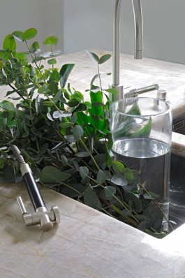 Isabel von Bernstorff